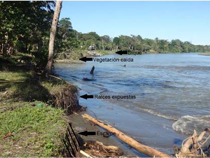 Desembocadura del r&iacute;o Bananito. En la foto es posible apreciar un proceso de erosi&oacute;n sobre la margen derecha que se evidencia en la presencia de un escarpe, la ca&iacute;da de vegetaci&oacute;n y la exposici&oacute;n de ra&iacute;ces, as&iacute; como la presencia de un dique construido con cantos rodados sobre la orilla de la carretera