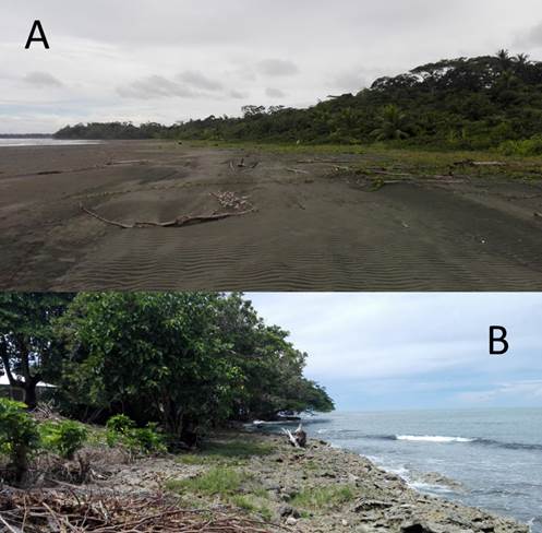 Fotos sectores costeros entre Playa Grande y Cahuita. A (Playa amplia ubicada entre promontorios rocosos, B) Z&oacute;calo arrecifal sobre el que se asienta el poblado de Cahuita.