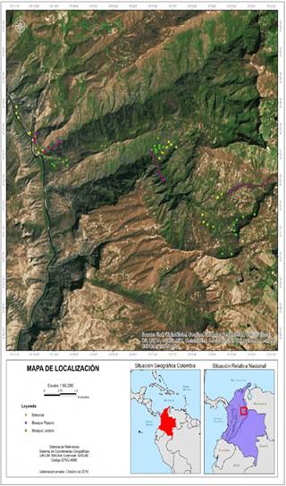 Mapa del &aacute;rea de estudio en el enclave seco del ca&ntilde;&oacute;n del r&iacute;o Chicamocha, Colombia, se muestra la ubicaci&oacute;n geogr&aacute;fica del sitio y 72 unidades de muestreo. Se establecieron ocho (8) puntos en cada una de las tres (3) fisionom&iacute;as de vegetaci&oacute;n, los puntos rosa corresponden a bosques primarios, verde bosques de ladera y amarillos a vegetaci&oacute;n de matorral, para un total de nueve sitios de vegetaci&oacute;n distintos.