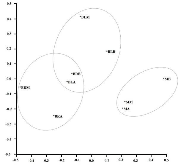 An&aacute;lisis de escalamiento multidimensional (nMDS) de las especies de aves y sus afinidades en nueve sitios en el enclave seco del ca&ntilde;&oacute;n del r&iacute;o Chicamocha, Colombia. En el an&aacute;lisis se muestra que los sitios tienen similaridad en la composici&oacute;n de sus comunidades de acuerdo con la fisionom&iacute;a de vegetaci&oacute;n, principalmente, encontrando dos grupos, las especies de bosques (riparios BR y laderas BL) y las especies de los matorrales M, en la franja alta A, media M y baja B; en este an&aacute;lisis de ordena-ci&oacute;n fueron utilizadas distancias euclidianas.