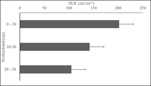 Comportamiento DLR vs profundidad de suelo. A0: Pm (gram&iacute;nea M. maximus cv Mombasa); A1: Pm asociado con arbustos forrajeros Ll (L. leucocephala), Cc (C. cujete), A2: Pm asociado con arbustos forrajeros Ll, Cc y &aacute;rboles forrajeros Gu (G. ulmifolia), Cg (C. grandis), As (A. saman). Las barras grises representan las medias de las especies evaluadas dentro de cada arreglo, letras iguales no significancia, l&iacute;nea negra error experimental (EE)