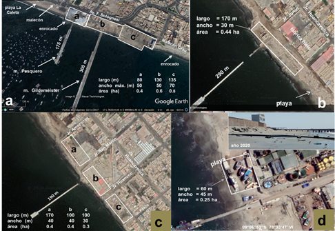 Presencia de terrazas, molones de acceso a muelles (a) y edificios (b y c) en zona norte, y edificios (d) en zona sur, sobre zona supralitoral e intermareal de la bahía El Ferrol (imágenes de Google Earth, octubre de 2019).