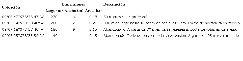 Muelles en desuso ubicados en la zona sur de la bahía El Ferrol, que deben ser retirados