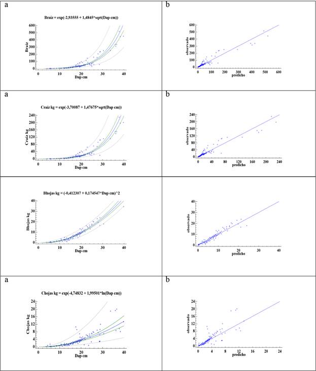 Modelos para estimar biomasa y carbono por componente de &aacute;rbol y &aacute;rbol completo a partir del di&aacute;metro: a) el gr&aacute;fico para el modelo ajustado, b) el gr&aacute;fico de valores predichos vs observados.