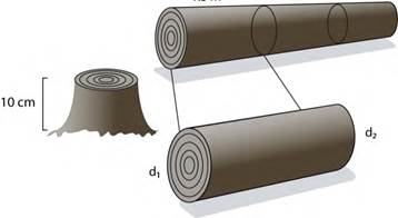 Cubicaci&oacute;n de las trozas.