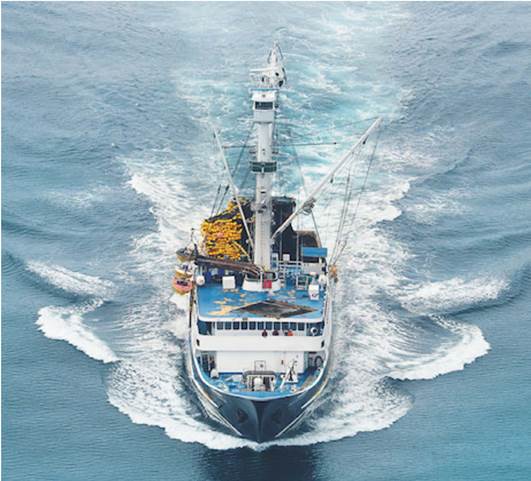 Las artes de pesca, no selectivas, como la red de cerco para atún, provocan daños al ecosistema y reducen las opciones de empleo en la costa.
