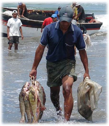 La finalidad principal de la pesca en Costa Rica debe ser social. Miles de familias dependen de ella para su subsistencia.