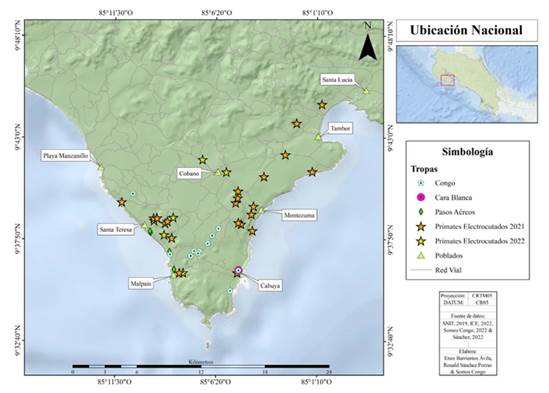 Seguimiento de las tropas de monos congo, pasos a�reos y puntos calientes. Distrito de C�bano, provincia de Puntarenas, Costa Rica.