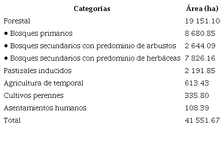 Tipos de cobertura y uso del suelo para el 2021.