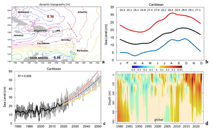 (a) Sea surface height (contours) in the east Caribbean, place names and long-term tide gauges (dots) within SL box; arrow represents inflow, ridge (dashed). (b) SL long-term annual cycle: 17 / 50 / 83 percentiles, with SST annual cycle listed. (c) Monthly combined SL data (thin) filtered record (thick) used in regression maps with parabolic trend (dashed), Hadley3 projected with 8.5 W/m2 scenario (grey) and annual CMIP6 &lsquo;worst case&rsquo; 50 / 83 percentiles (yellow, red), adapted from IPCC (2021). (d) Hovmoller plot of global averaged GODAS sea temperature anomalies with depth, warming since 2010.