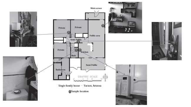 Floor plan and areas of the household 