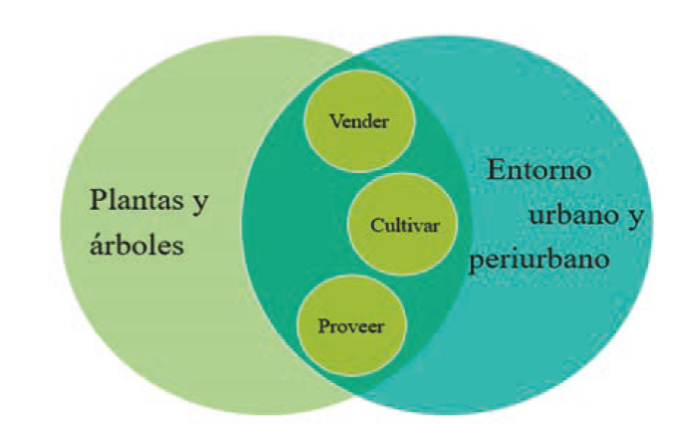 Definición de huertos urbanos según Smit, Ratta y Nasr (1996). 