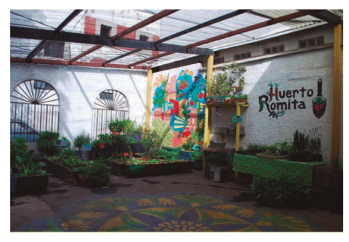 Huerto urbano en Ciudad de México 