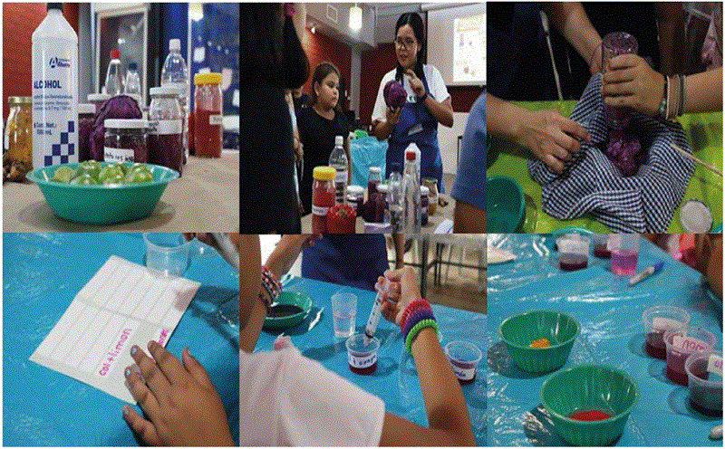 Culminaci�n del proceso de las tintas naturales