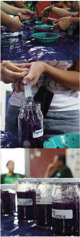 Proceso de las tintas naturales