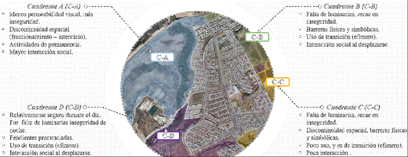 Cuadrantes del sitio de estudio