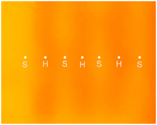 Thermography of the south fa�ade, where the center of the hollow part (H) and the center of the solid part (S) of the blocks can be located