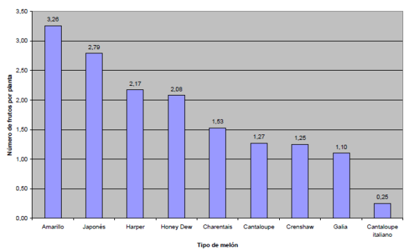 Número de frutos por planta, según el tipo de melón evaluado.