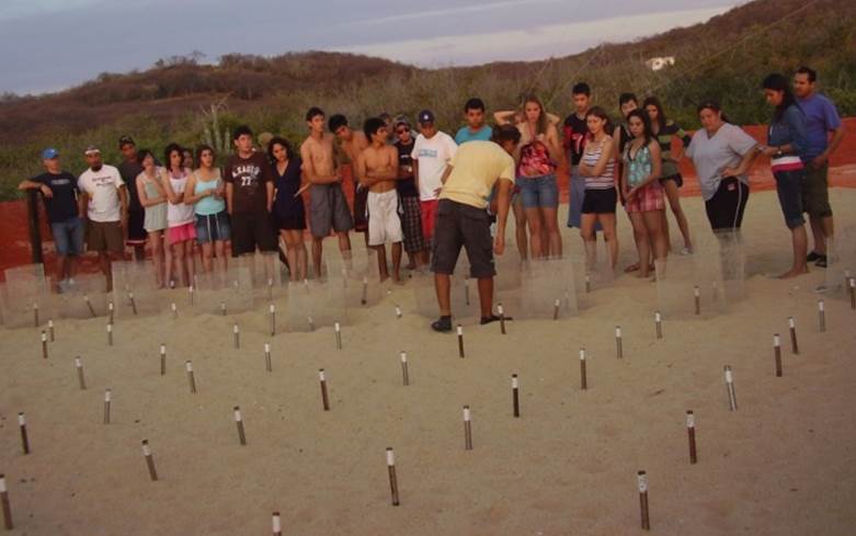 Actividades del programa.