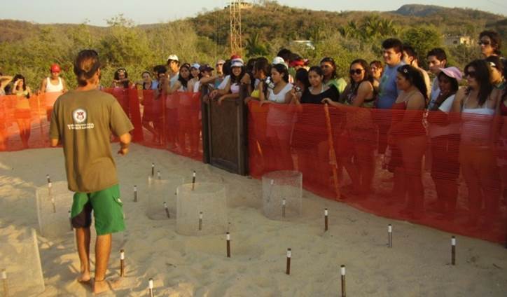 Explicación de las actividades.