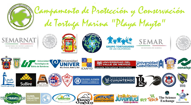 Actores involucrados.