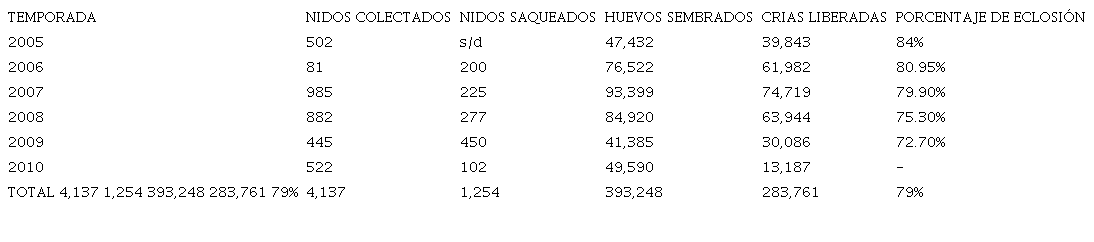 Siembras del huevo de la tortuga