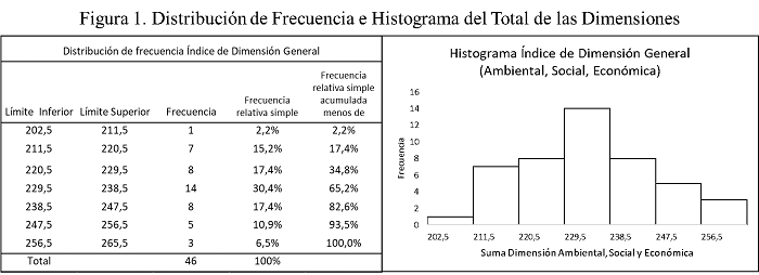 Distribución de Frecuencia e Histograma del Total de las Dimensiones