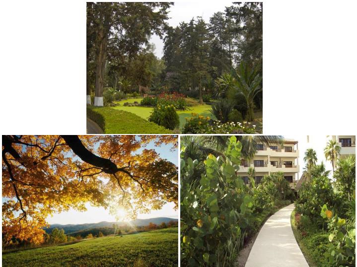 Imágenes utilizadas como estímulo restaurador