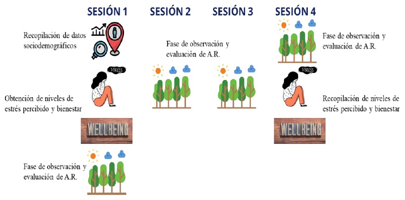 Estructura de las sesiones realizadas con las mujeres con cáncer de mama