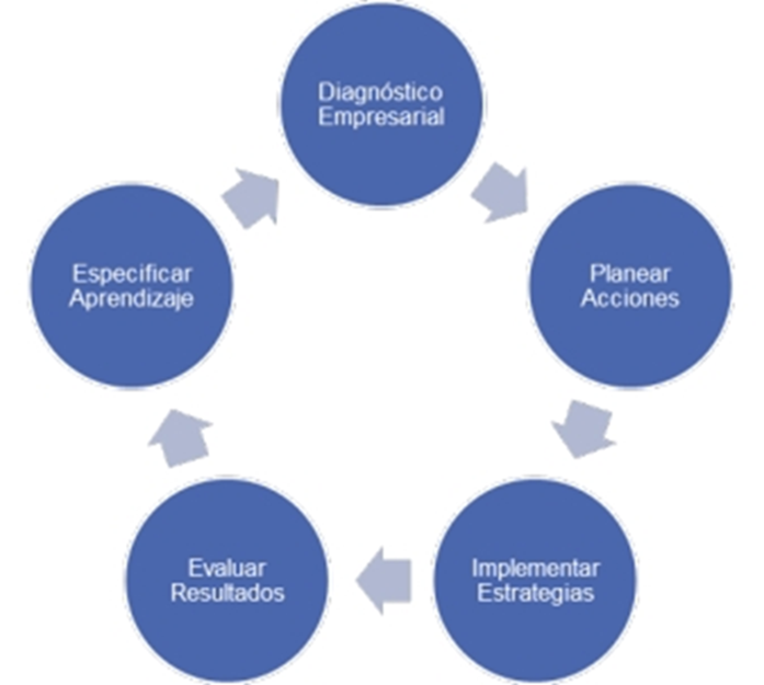 Etapas del modelo de Investigación
