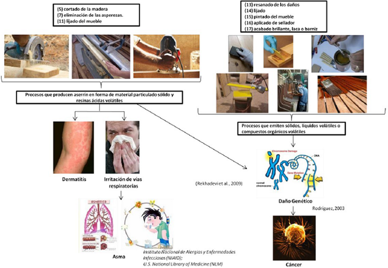 Actividades del proceso de producción de muebles relacionados con los
							daños a la salud y consecuencias