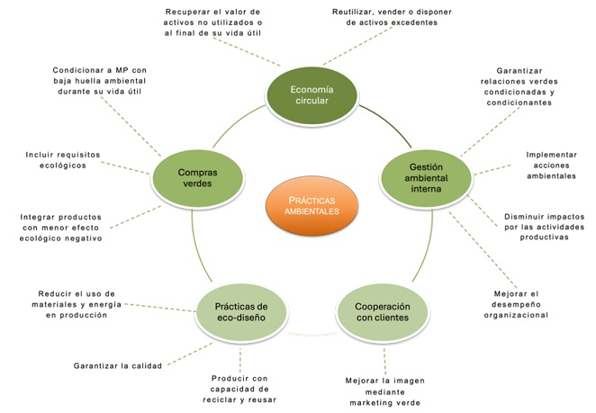 Dimensiones de la pr�ctica ambiental con orientaci�n productiva
