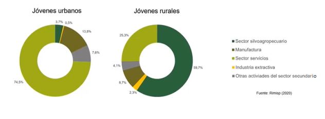 Ocupacin de jvenes urbanos y rurales por sector en Latinoamrica