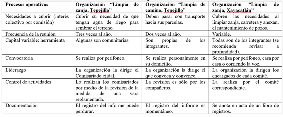 Comparacin de procesos operativos de las organizaciones de produccin en la Mixteca poblana