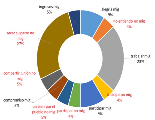 Interpretacin de significados de actividades realizadas en el trabajo comunitario por los integrantes de la organizacin