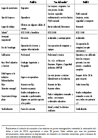 Perfiles t�picos de trabajadoras del complejo petrolero de la Cuenca San Jorge