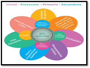 Propuesta curricular de la Nueva Escuela Mexicana