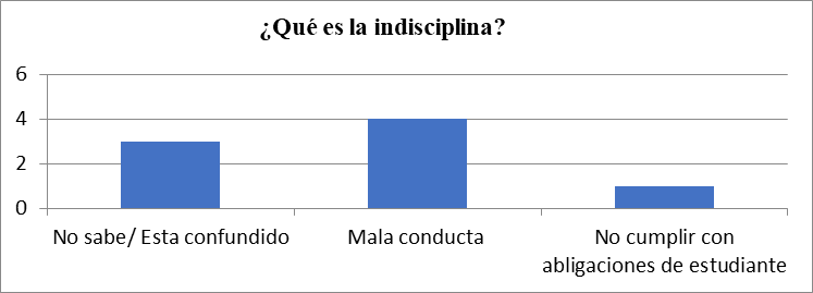 Concepciones sobre la disciplina