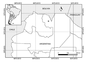 de colecci&oacute;n de Blechnum malacothrix en el noroeste argentino.