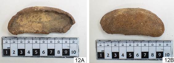 A-B. Pericarpo arqueológico de Hymenaea. Figura en color en la versión en línea http://www.ojs.darwin.edu.ar/index.php/darwiniana/article/view/824/1151
