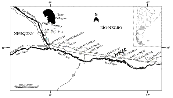 Mapa del Alto Valle de Río Negro. La localidad de Mainqué fue el sitio de recolección de Hibiscus trionum L.