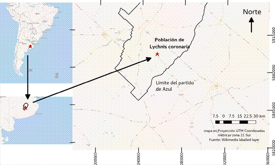 Sitio de colección de Lychnis coronaria (L.) Desr. en la provincia de Buenos Aires, Argentina. Figura en color en la versión en línea http://www.ojs.darwin.edu.ar/index.php/darwiniana/article/view/826/1149