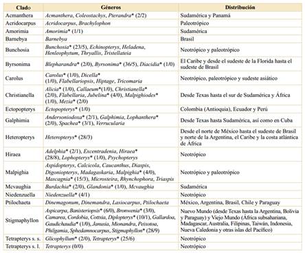 Diversidad filogenética de las Malpighiaceae y su representatividad en Colombia. La configuración de los clados y su distribución geográfica están basadas en Anderson et al. (2020). *: Género presente en Colombia. Los números entre paréntesis corresponden al número de especies por género presentes en Colombia (totales/endémicas).
