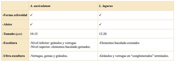 Caracteres de las esporas de A. auricultatum y L. lagurus.