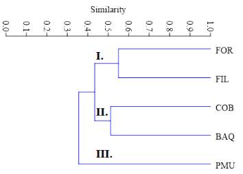 UPGMA dendrogram of A. quebracho-blanco populations sampled, considering the Jaccard index as an arithmetic complement. Branch I: (FOR and FIL), Branch II: (COB and BAQ), Branch III (PMU).
