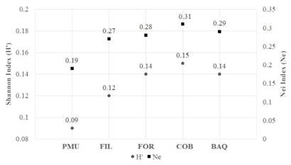 Shannon index (H’) and Nei (Ne) genetic diversity for the five native populations of A. quebracho-blanco. Porto Murtinho, Brazil (PMU); Filadelfia, Paraguay (FIL); Formosa, Argentina (FOR); Cordoba, Argentina (COB); and Barra do Quaraí, Brazil (BAQ).