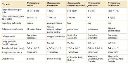 Principales diferencias entre Weinmannia epicae A. Fuentes y las especies morfológicamente relacionadas.