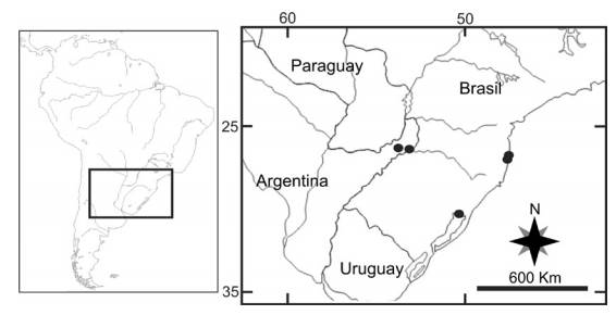 Distribución de M. magnus.
