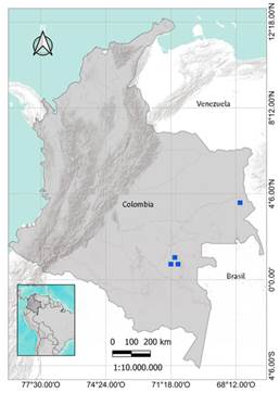 Distribution map of Heterostemon amoris. Map credits: Jairo A. Peña-Torrés & Andrés Fonseca-Cortés.