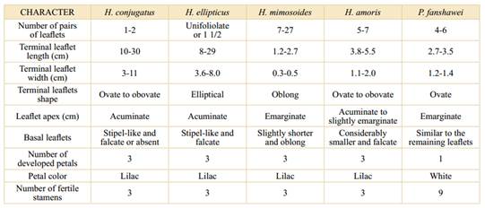 Morphological differences between the species of Heterostemon present in Colombia and Paloue fanshawei (R.S. Cowan) Redden.